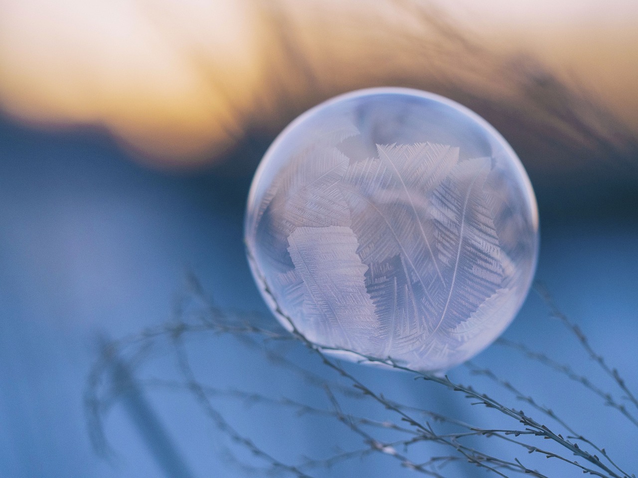 Make Your Own Dream Catcher: Crafts for Kids